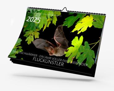 Fledermauskalender für 2025